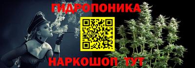 трава Новозыбков