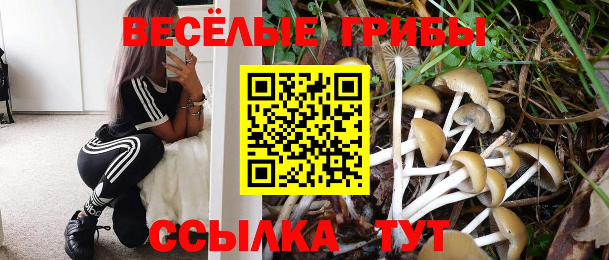 Галлюциногенные грибы Magic Shrooms Новоуральск
